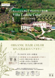 villalodola_color_poster
